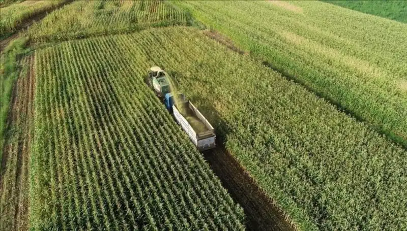 2025 Mazot ve Gübre Desteği Ödemeleri: Son Durum ve Bilmeniz Gerekenler