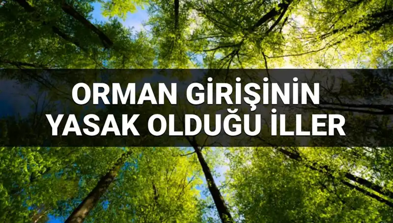 2025 Yılında Ormana Girmesi Yasaklanan İller Belli Oldu
