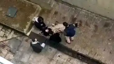 Kampüste Köpek Paniği: Öğrenciyi Betona Düşüren Olay