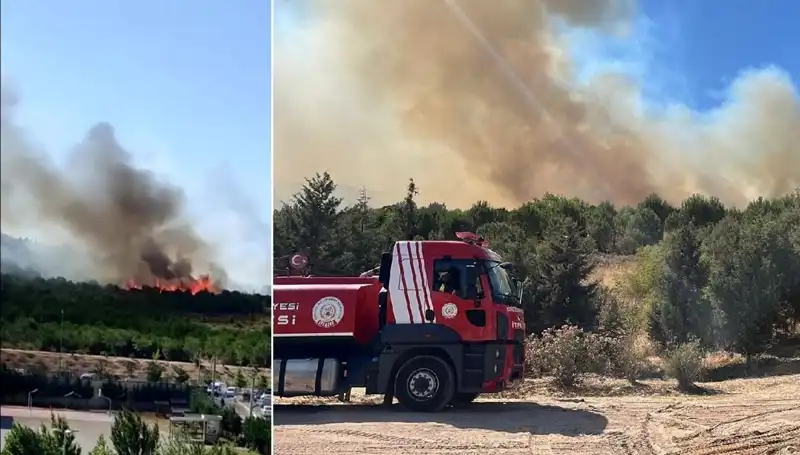 Gebze'deki Orman Yangını: İhmal mi, Kaza mı? Alarm Durumundaki Büyüyen Tehlike!