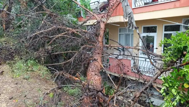 Yağmur Sonrası Korkunç An: Binanın Üzerine Devrildi