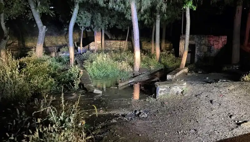 Manisa'da Parkta Gizemli Şüpheli Ölüm Olayı Yaşandı