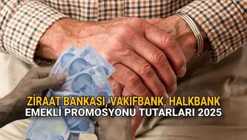 2025 Yılına Özel Emekli Promosyonları: Kamu Bankaları Ne Sunuyor?