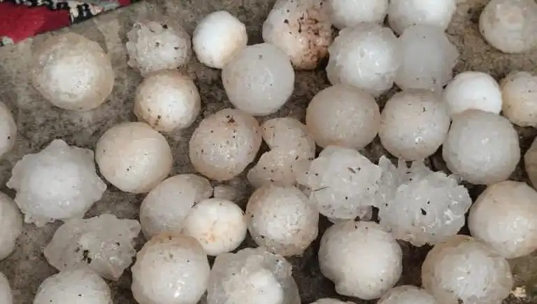 Şanlıurfa’yı Sarsan Kar Topu Büyüklüğünde Dolu Yağışı