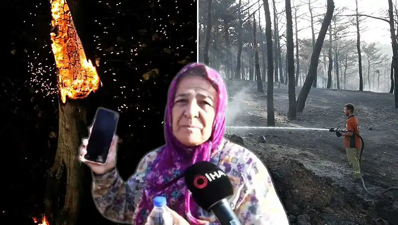 Çanakkale'deki Orman Yangınları Kontrol Altına Alındı: Kayıplar ve Kurtarma Mücadelesi