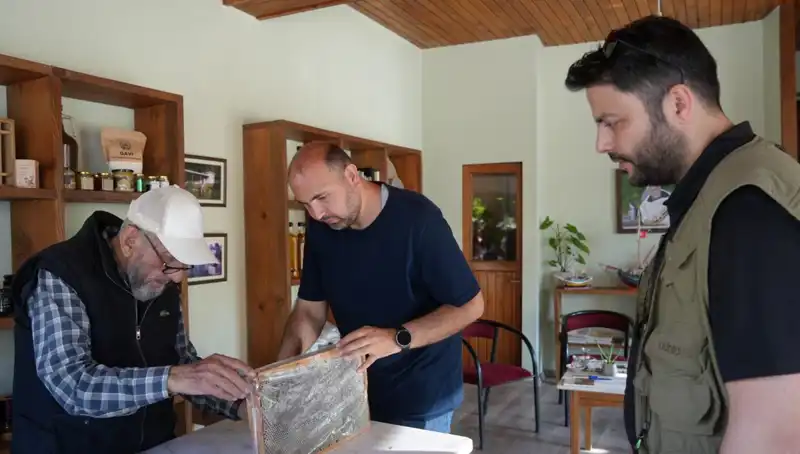 Çay Kaşığıyla Tüketilen Bu Doğal Ürün Hem Şifa Hem de Tehlike Taşıyor