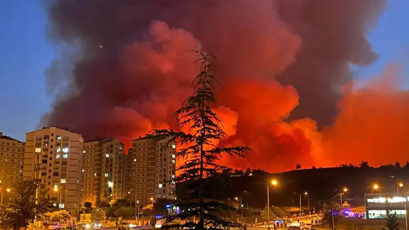 Bursa'da Korkutan Yangınlar: Şehir İçi ve Çevresinde Yaşanan Olaylar