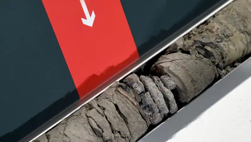Dinozor Fosili, Müze Otoparkının Altında Keşfedildi!