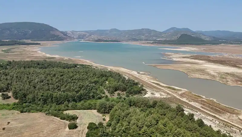 İzmir'de Ekonomik Kriz Alarmı: Yüzde 50'lik Düşüş Şaşkınlık Yarattı