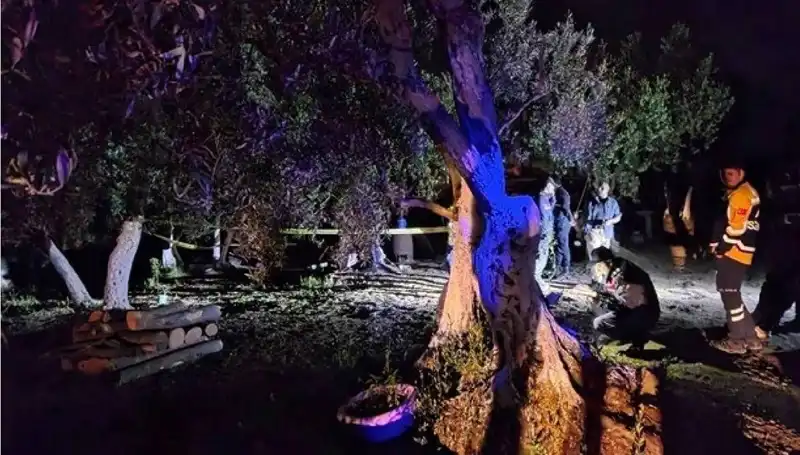 Çiftlikteki Baltalı Vahşet Olayında Şok Tutuklama!