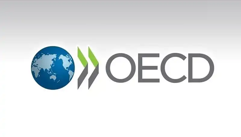 Türkiye’nin Ekonomisinde Beklenmedik İyileşme: OECD Büyüme Tahminlerini Güncelledi
