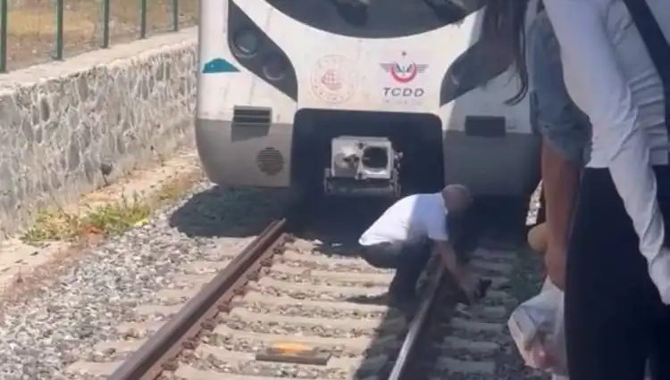 Raylardaki Kediye Duyarlı Yaklaşım: Makinist Marmaray'ı Durdurdu