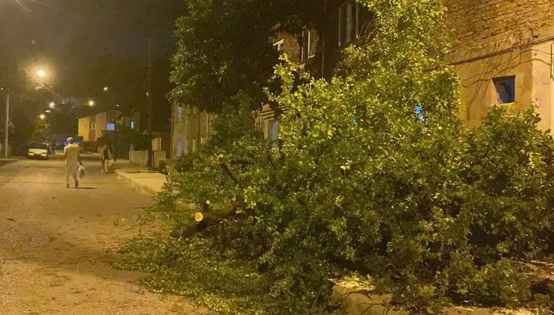 Karabük'te Yaşanan Fırtına Hayatı Olumsuz Etkiledi
