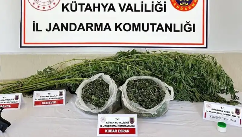 Kütahya'da Uyuşturucu Operasyonu: Ele Geçirilenler Ve Yakalanan Şahıs