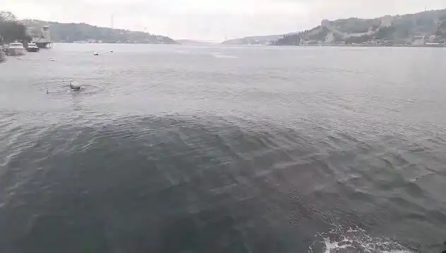 İstanbul Boğazı'nda Dalgalar Yükseliyor: Doğanın Gücü Huzuru Bozdu