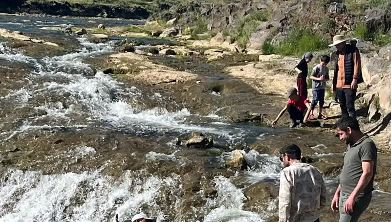 İnci Kefali Göçü: Doğa Harikası Karşısında Turistlerin Büyüleyici Yolculuğu